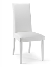 Barbecue a gas con pietra lavica