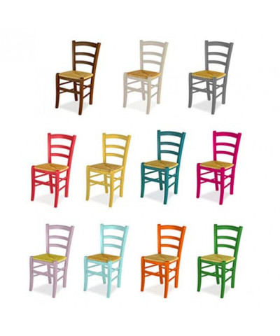 Barbecue a gas con pietra lavica