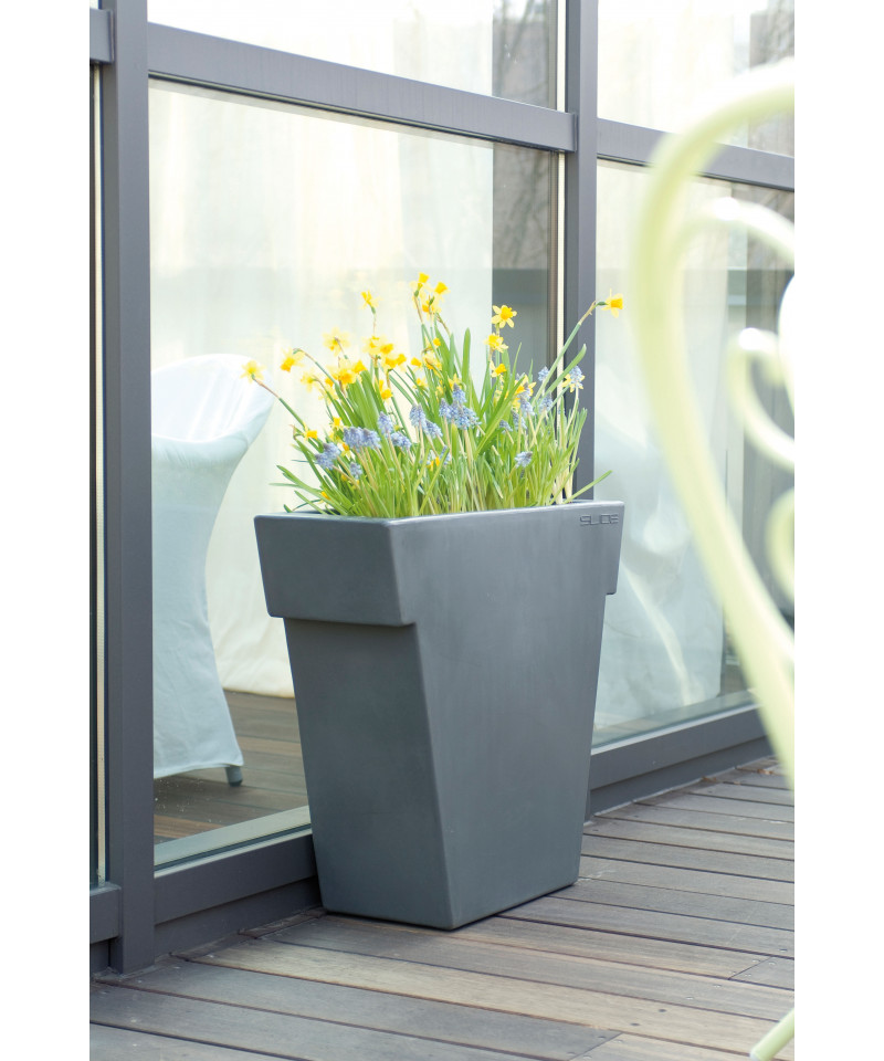 Il Vaso grigio elefante