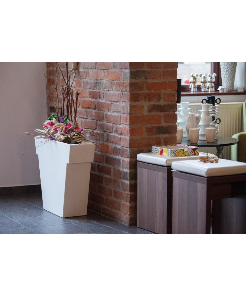 Il Vaso - Slide Design - ZStyle