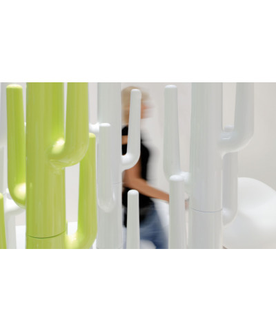 Lapsus bianco e verde