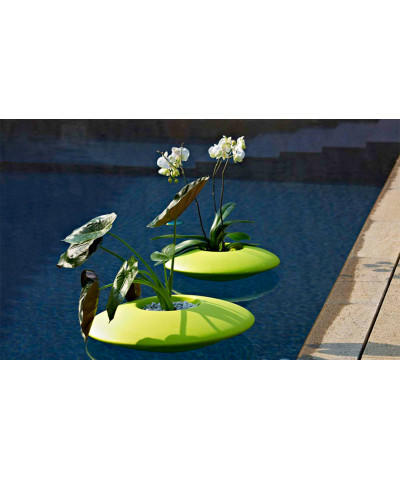 Vaso Galleggiante Ninfea - Plust - ZStyle